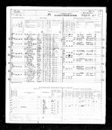 1950 Census Pekich Dragich